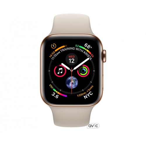 Apple Watch Series 4 (GPS + Cellular) 40mm Gold Stainless Steel Case with Stone Sport Band (MTUR2)