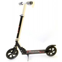 Самокат iTrike SR 2-010-1 (Black)