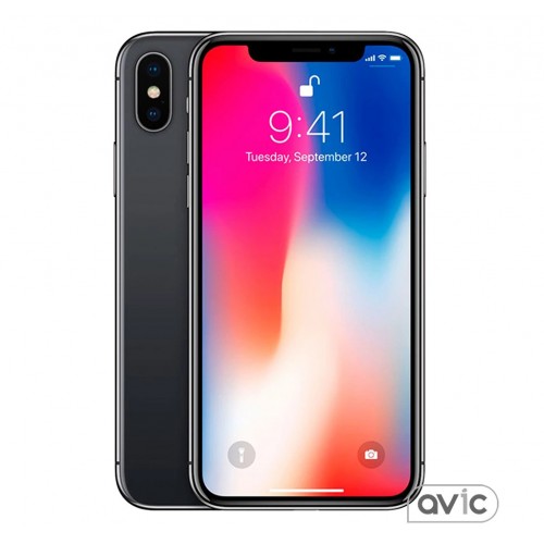 Смартфон Apple iPhone X 256GB (Space Gray) (MQAF2)