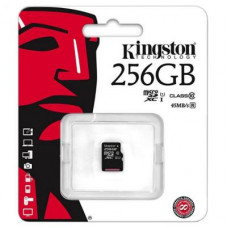Карта памяти Kingston 256GB microSDXC Class 10 UHS-I (SDC10G2/256GBSP)