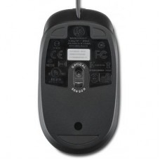 Мышь HP Optical Scroll USB (QY777AA)