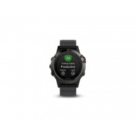 Смарт-часы Garmin fenix 5 Slate Gray with Black Band (010-01688-00)