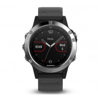 Смарт-часы Garmin fenix 5 Black Silver with Black Band Silver (010-01688-03)