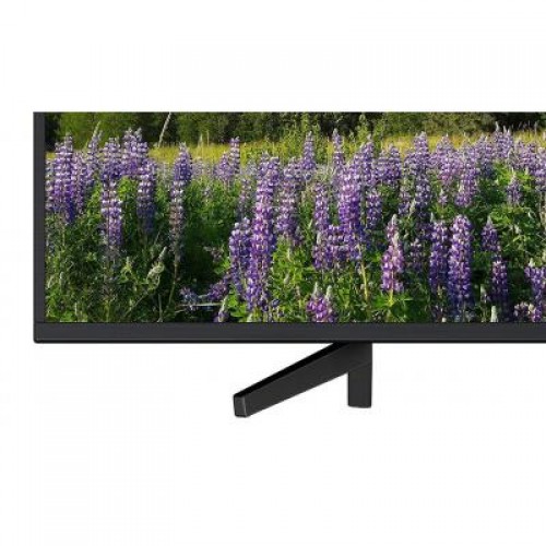 Телевизор SONY KD55XF7096