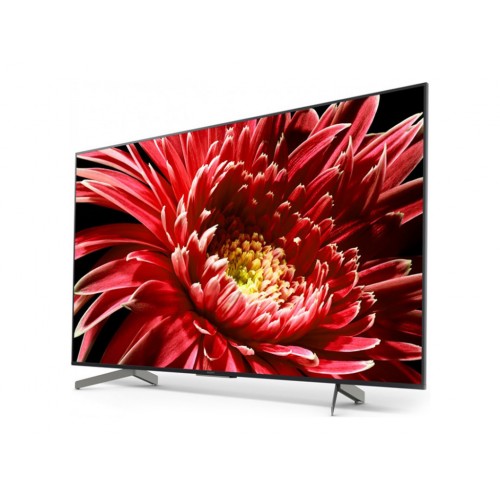 Телевизор Sony KD55XG8596BR