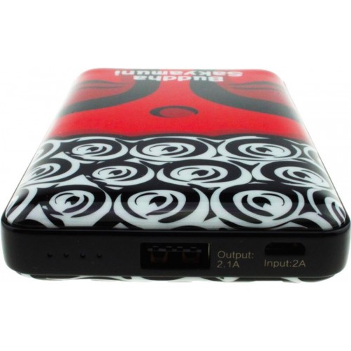 Power Bank Recci RF-12000 Faith Power IQ 1A/2,1А Li-Pol 12000 mAh Buddha