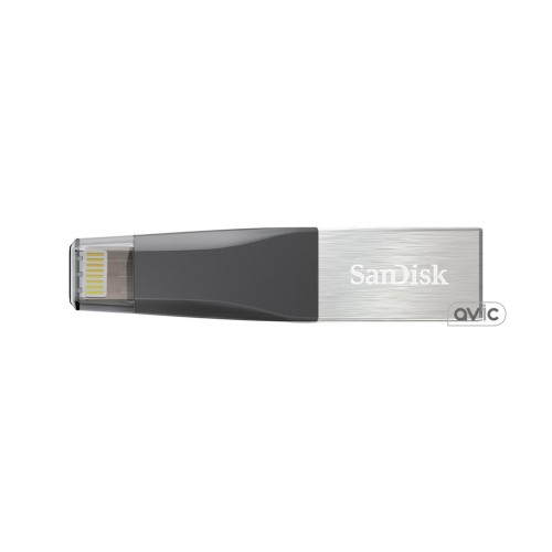 Флешка SanDisk 64 GB iXpand Mini (SDIX40N-064G-GN6NN)