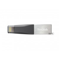 Флешка SanDisk 32 GB iXpand Mini (SDIX40N-032G-GN6NN)