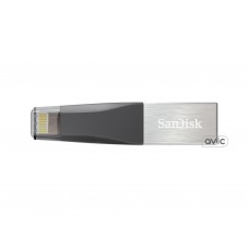 Флешка SanDisk 32 GB iXpand Mini (SDIX40N-032G-GN6NN)
